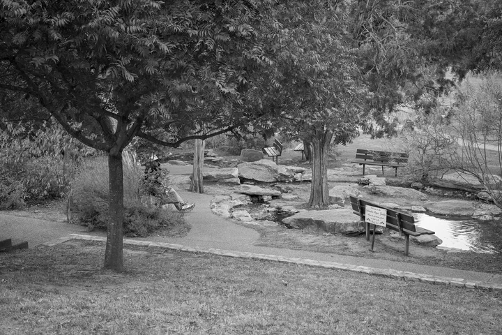 Un rincón del campamento con árboles y un arroyo de piedras